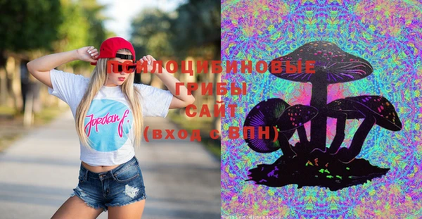 гашик Баксан